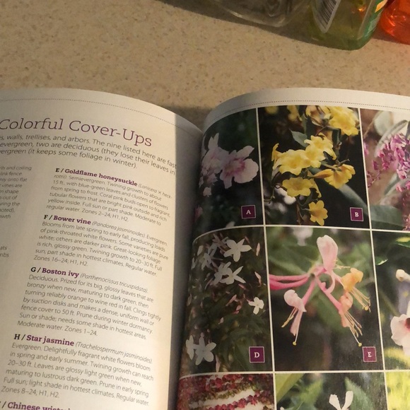 New Sunset Western Garden Book The 20 Minute Gardener. Projects, Plants, Designs - Picture 8 of 12